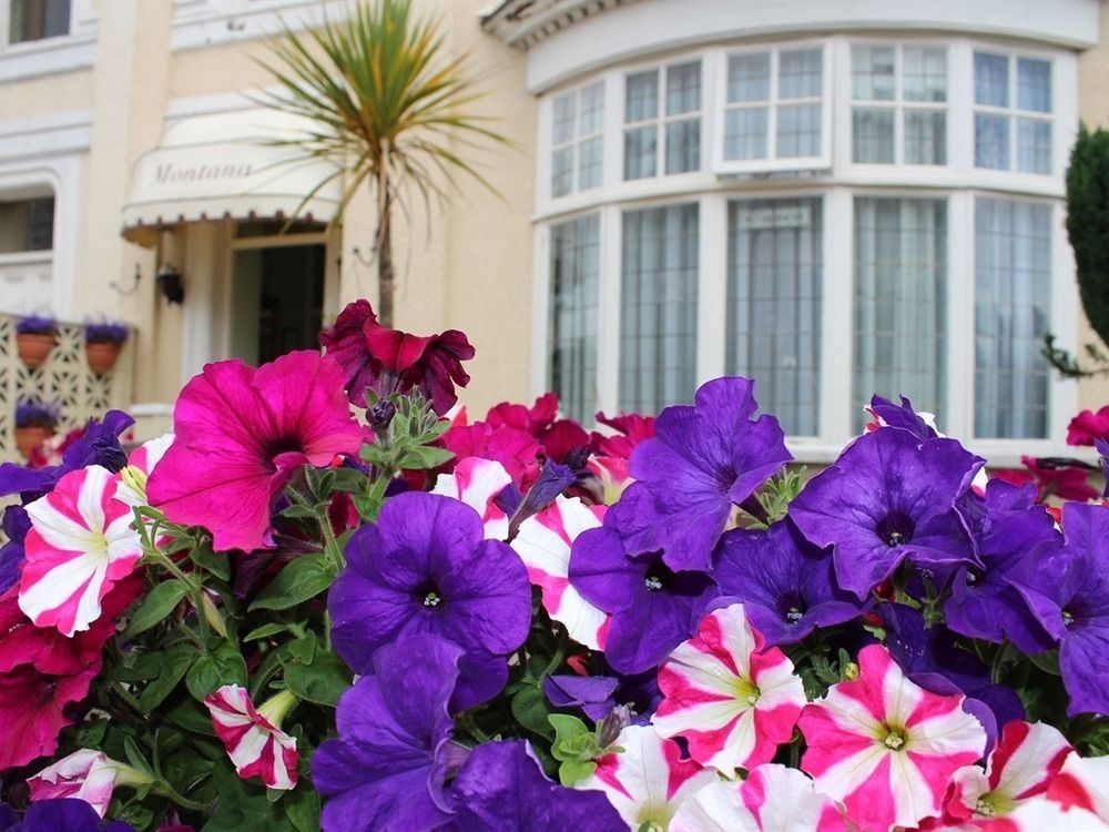 The Montana Bed and Breakfast Torquay Exteriör bild